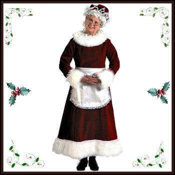 Frcolor Old Lady Wig Costume Mrs. Santa Granny Grandma Aged Women Wig Bun  Hairstyle Halloween Christmas Cosplay Accessory : : Beauty